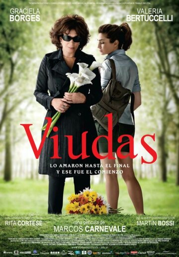 Вдовы (2011)